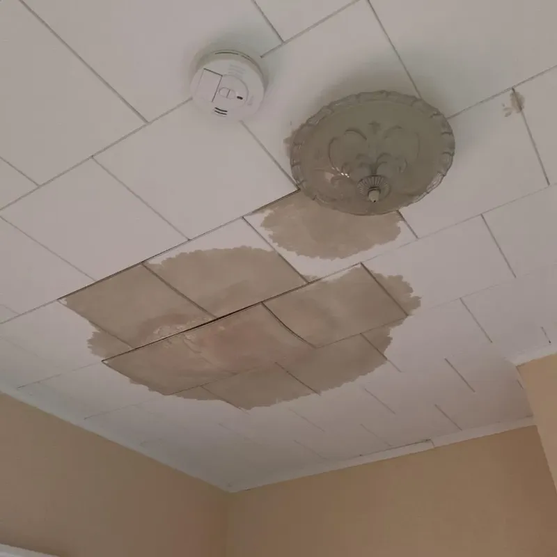 Ceiling Water Damage Repair in Pratt, KS