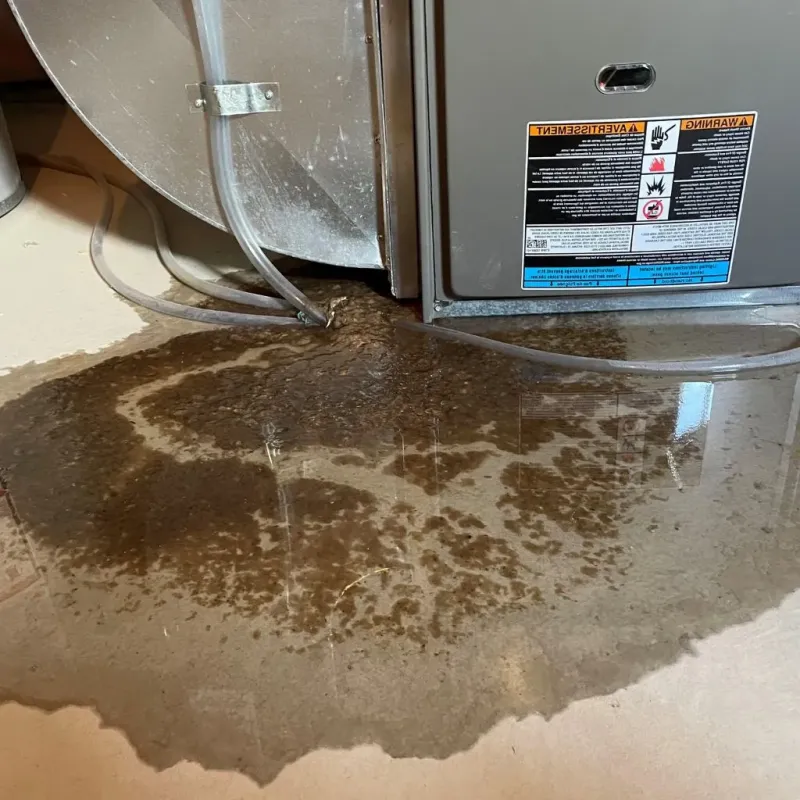 Pipe Burst and Leak Restoration in Pratt, KS