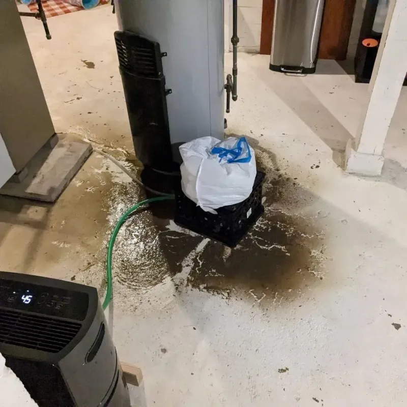 Sewage Backup Cleanup Service in Pratt, KS